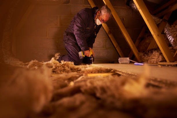 Best Cellulose Insulation in Perrysburg, OH