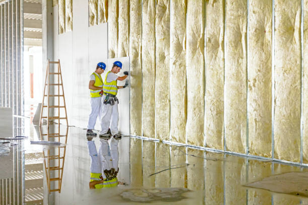 Best Insulation Maintenance and Repair in Perrysburg, OH